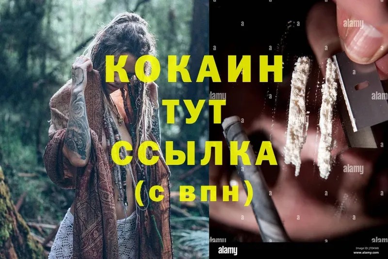 Cocaine FishScale  Валдай 